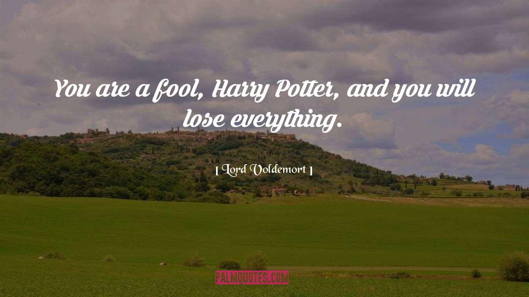 Lord Voldemort Quotes: You are a fool, Harry