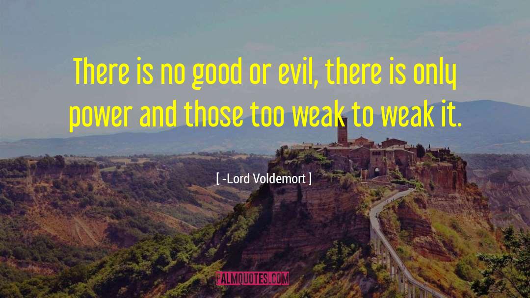 Lord Voldemort Quotes: There is no good or