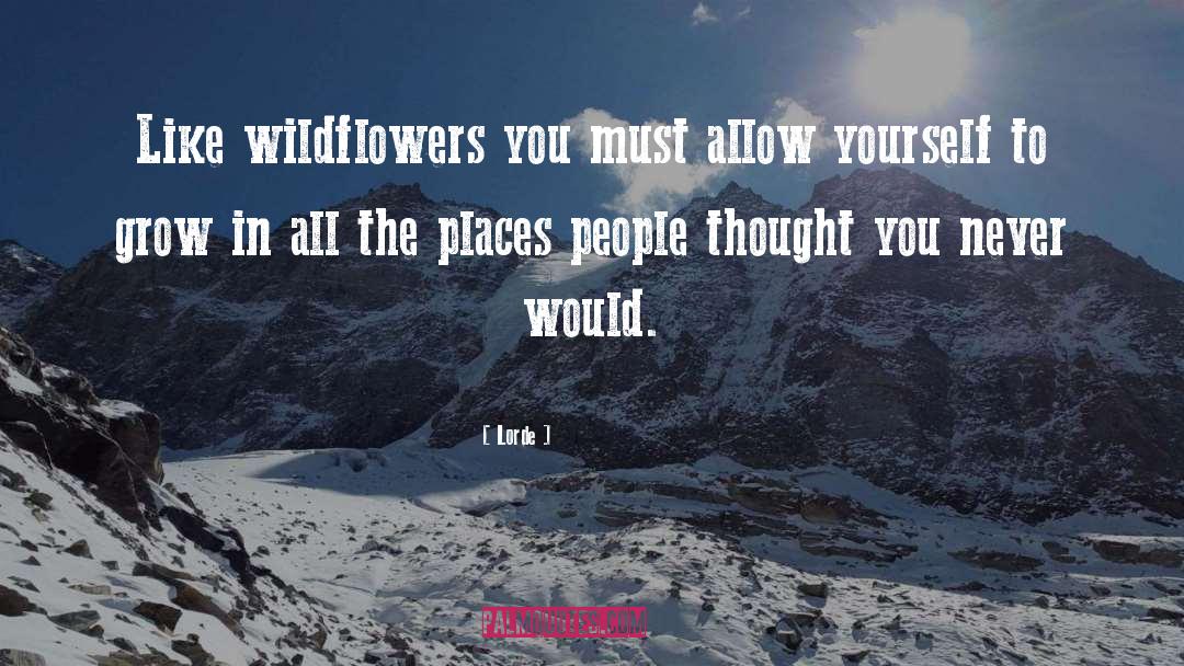 Lorde Quotes: Like wildflowers you must allow