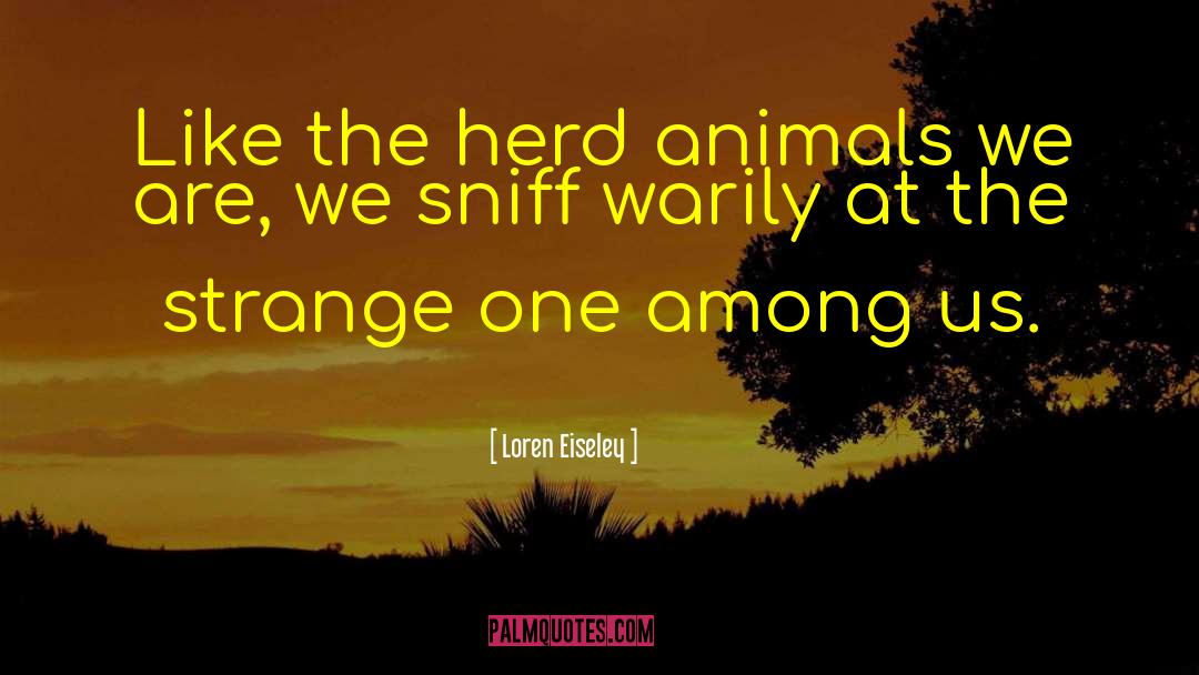 Loren Eiseley Quotes: Like the herd animals we