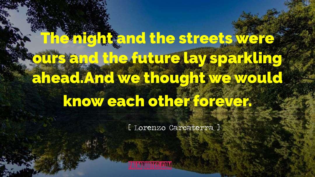 Lorenzo Carcaterra Quotes: The night and the streets