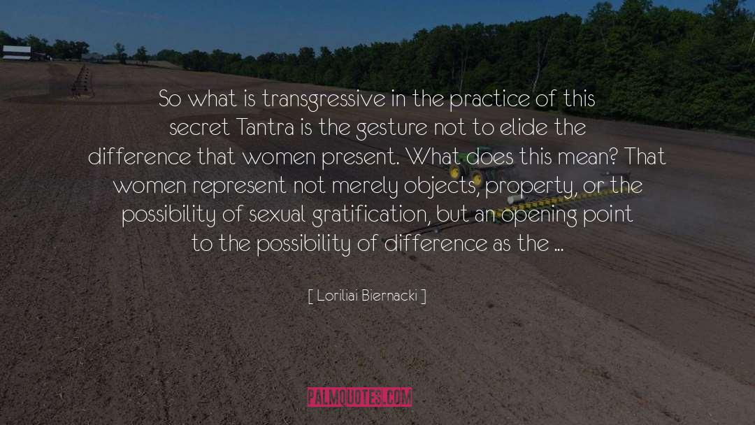 Loriliai Biernacki Quotes: So what is transgressive in