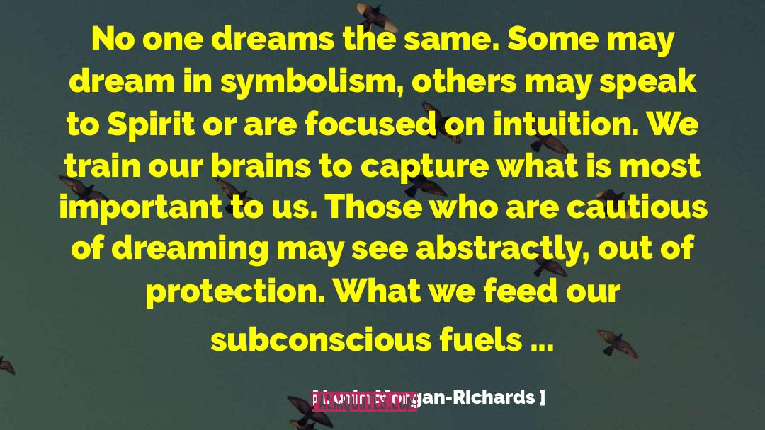 Lorin Morgan-Richards Quotes: No one dreams the same.