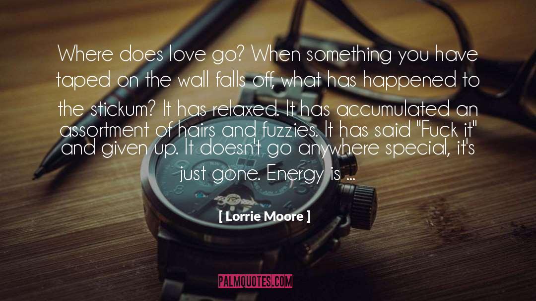 Lorrie Moore Quotes: Where does love go? When