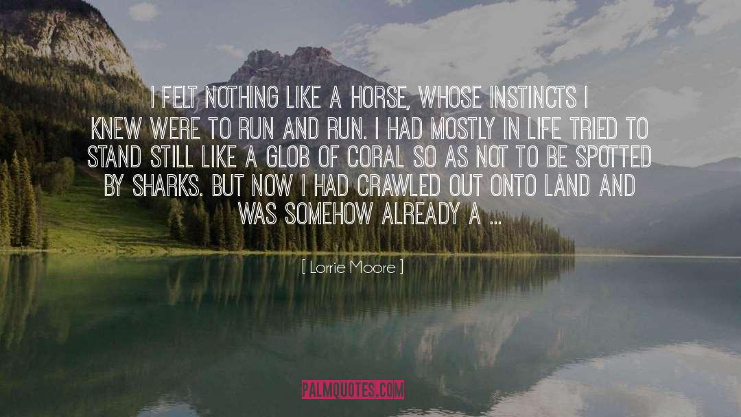 Lorrie Moore Quotes: I felt nothing like a