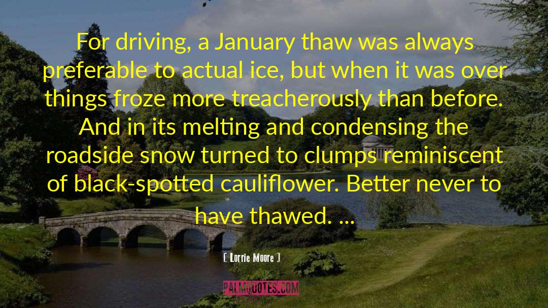 Lorrie Moore Quotes: For driving, a January thaw