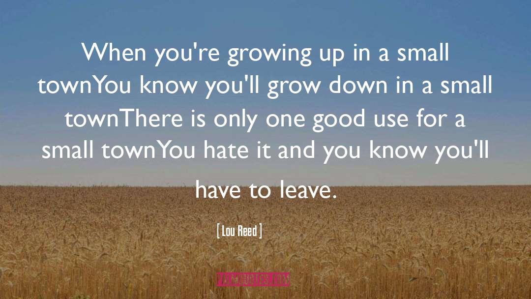 Lou Reed Quotes: When you're growing up in