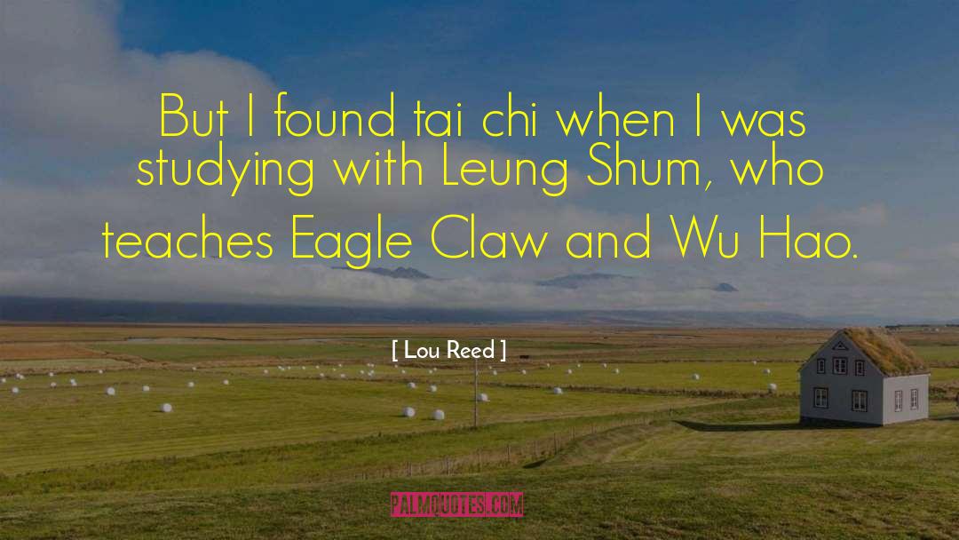 Lou Reed Quotes: But I found tai chi