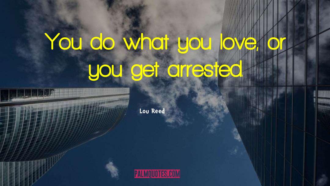 Lou Reed Quotes: You do what you love,