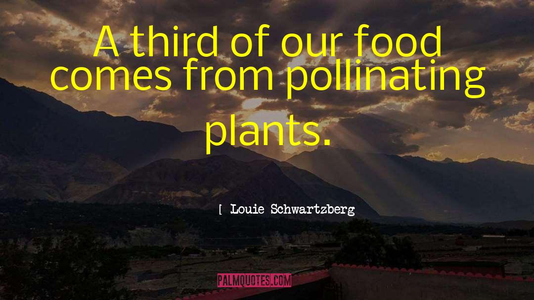 Louie Schwartzberg Quotes: A third of our food