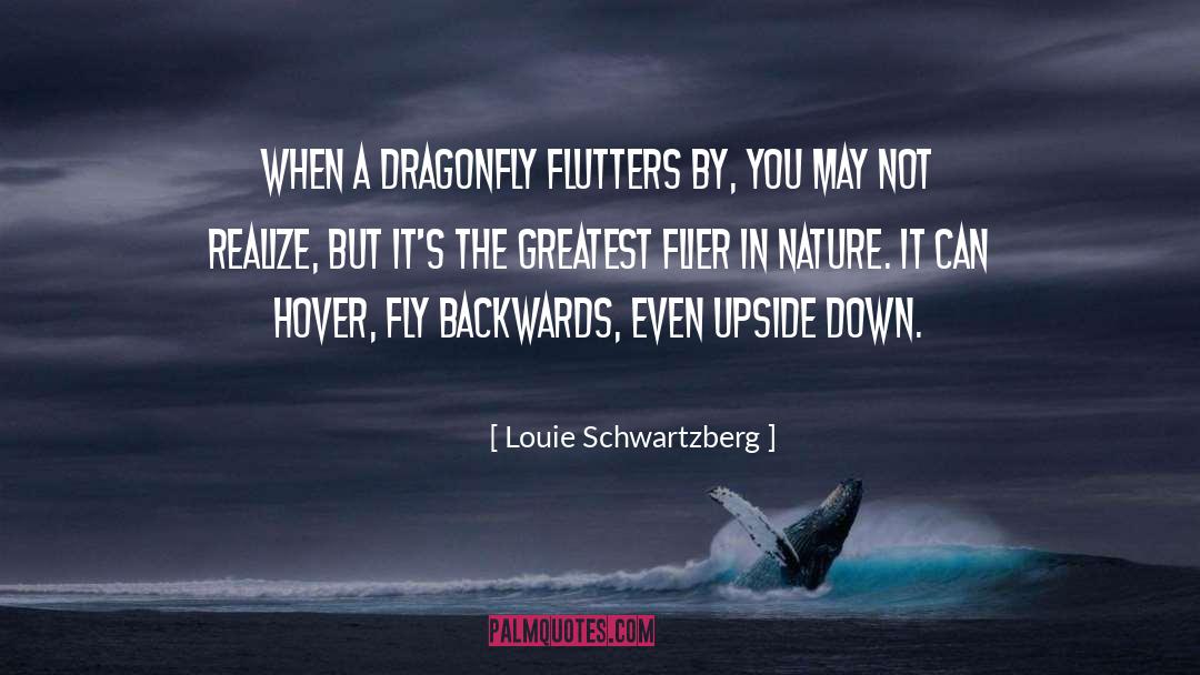 Louie Schwartzberg Quotes: When a dragonfly flutters by,
