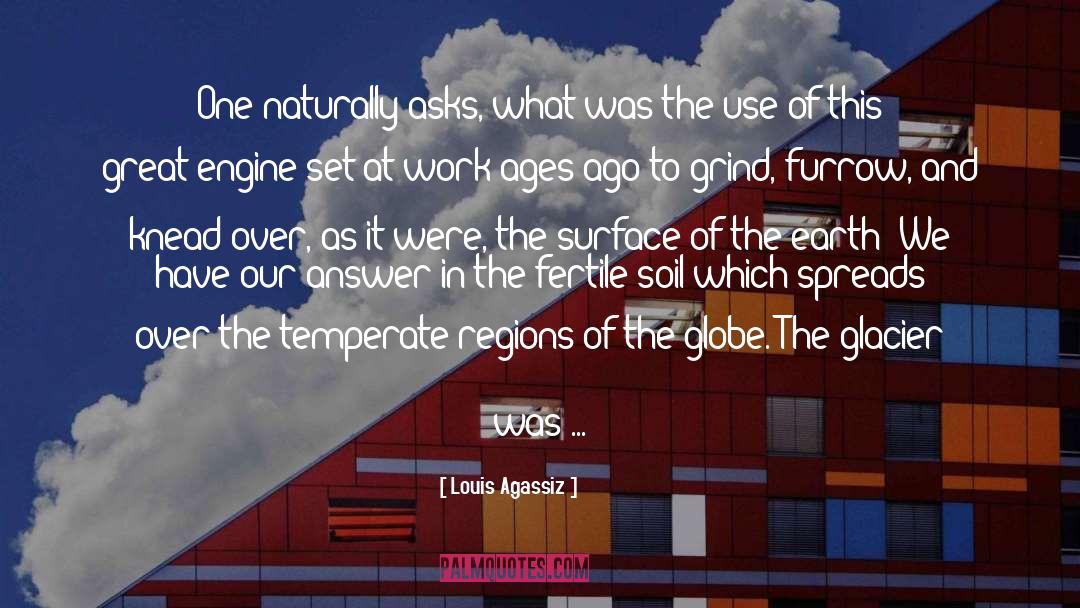 Louis Agassiz Quotes: One naturally asks, what was
