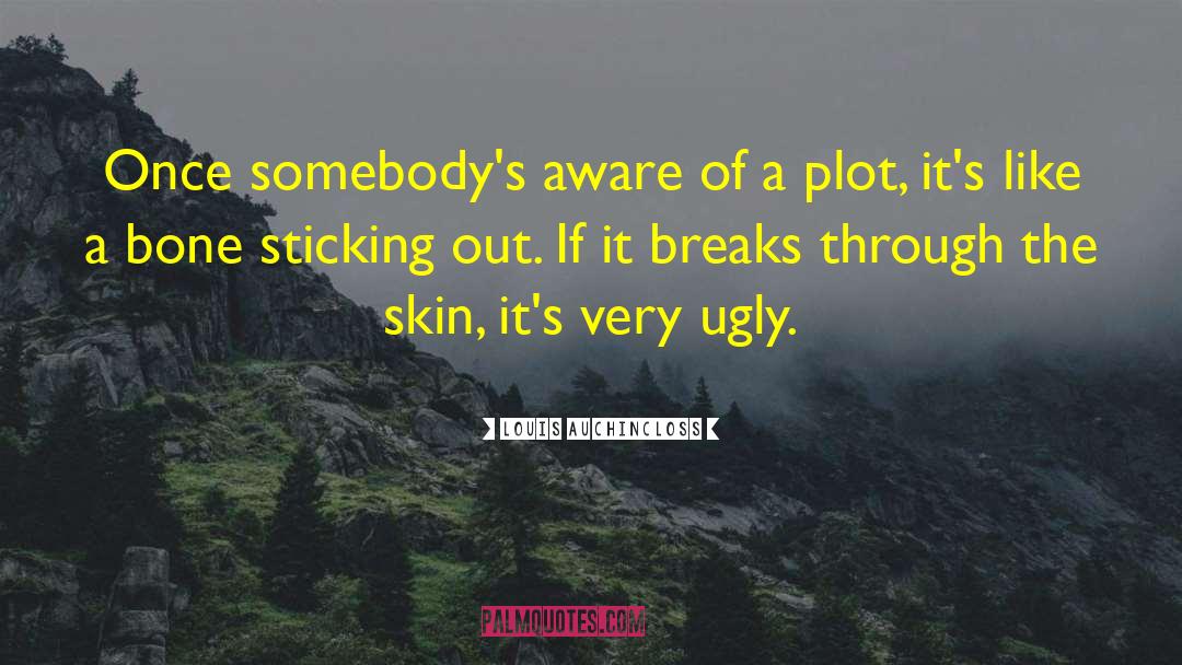 Louis Auchincloss Quotes: Once somebody's aware of a