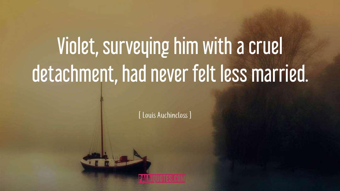 Louis Auchincloss Quotes: Violet, surveying him with a