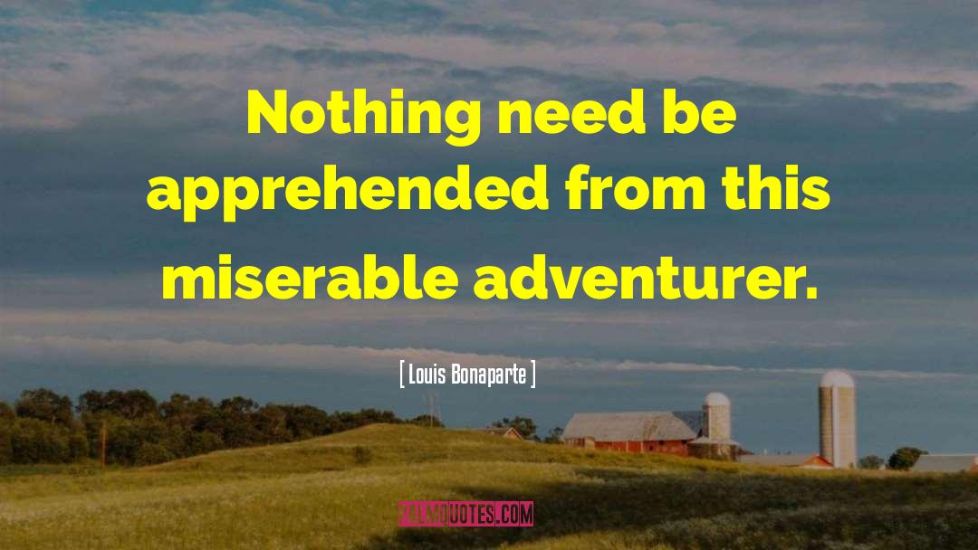 Louis Bonaparte Quotes: Nothing need be apprehended from