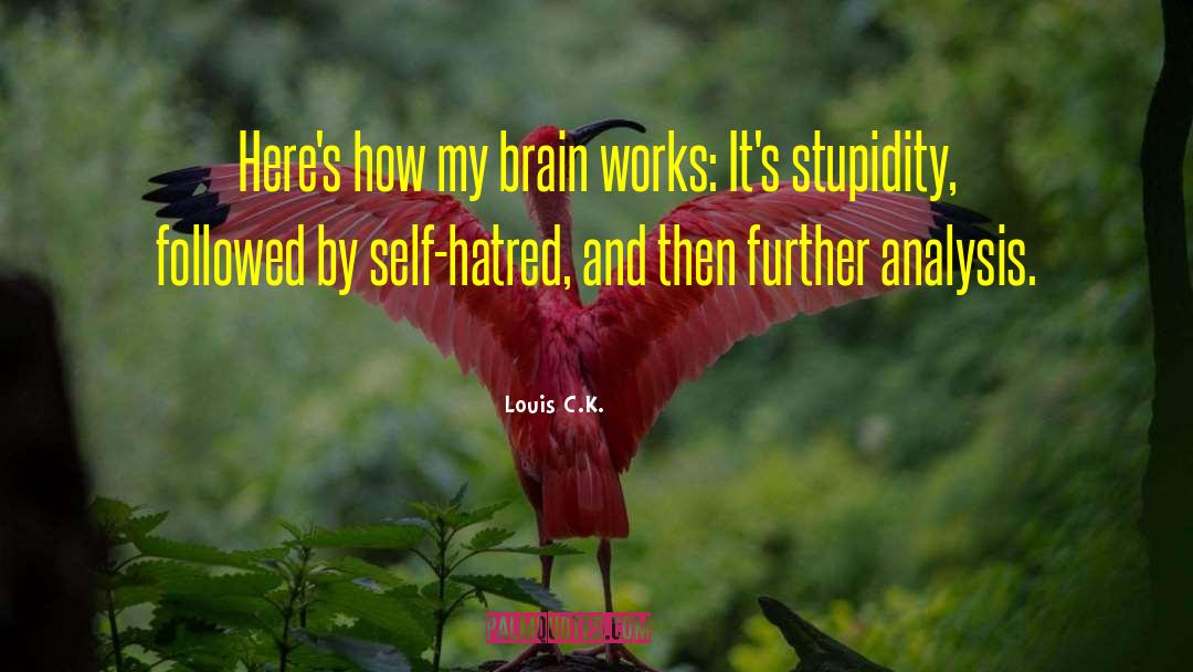 Louis C.K. Quotes: Here's how my brain works: