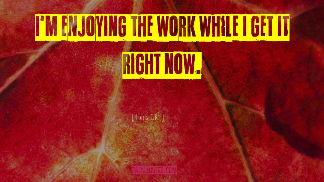 Louis C.K. Quotes: I'm enjoying the work while