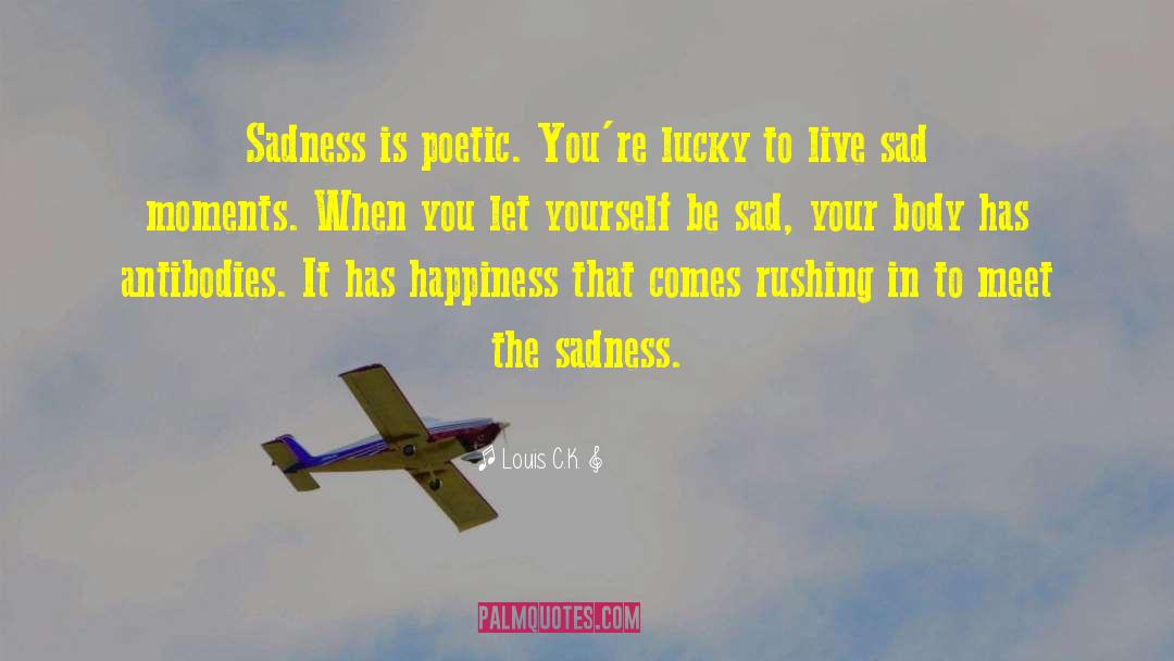 Louis C.K. Quotes: Sadness is poetic. You're lucky