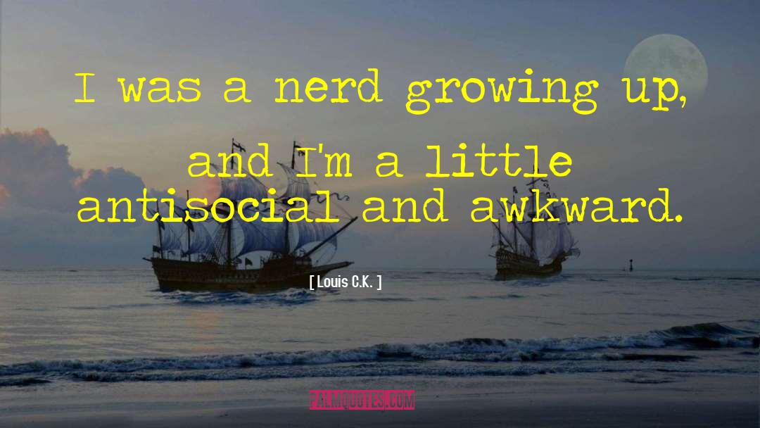 Louis C.K. Quotes: I was a nerd growing