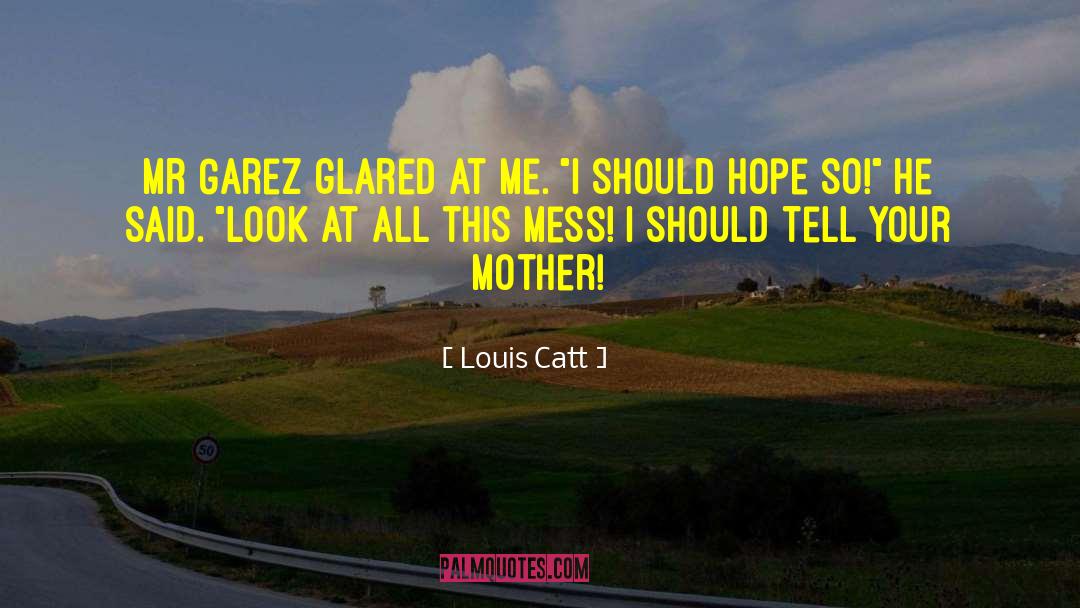 Louis Catt Quotes: Mr Garez glared at me.