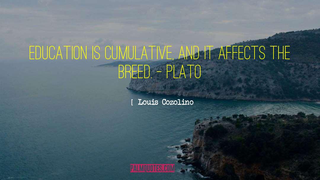 Louis Cozolino Quotes: Education is cumulative, and it