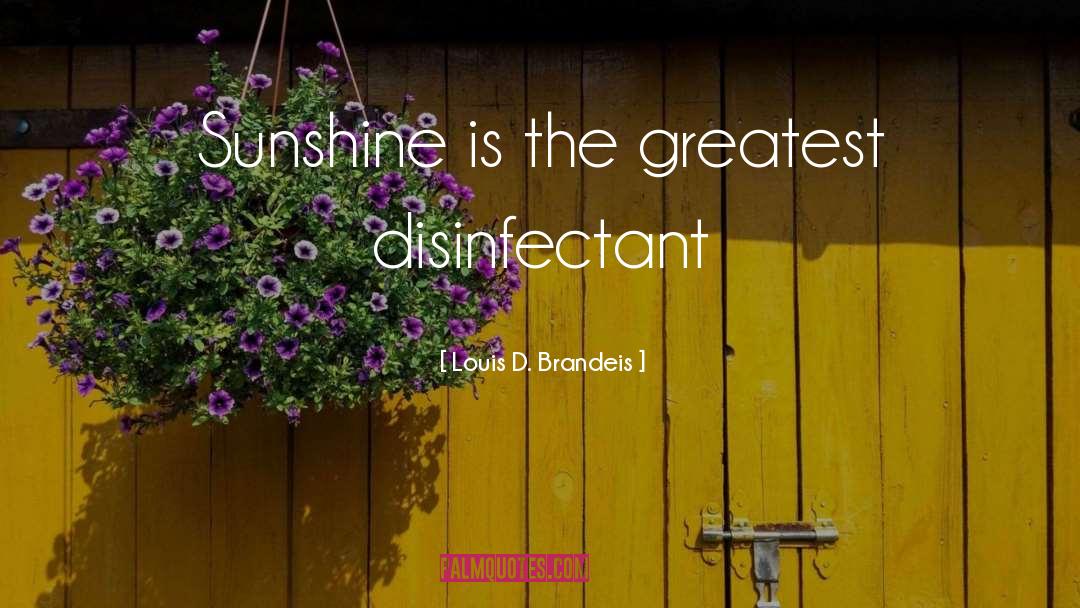 Louis D. Brandeis Quotes: Sunshine is the greatest disinfectant