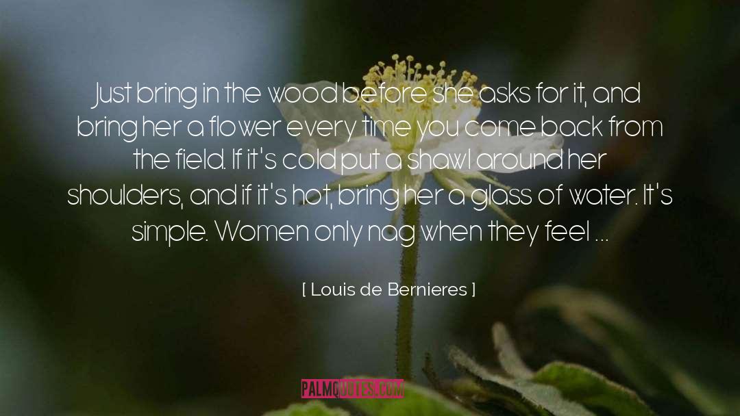 Louis De Bernieres Quotes: Just bring in the wood