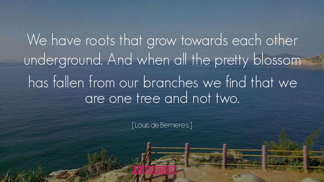 Louis De Bernieres Quotes: We have roots that grow