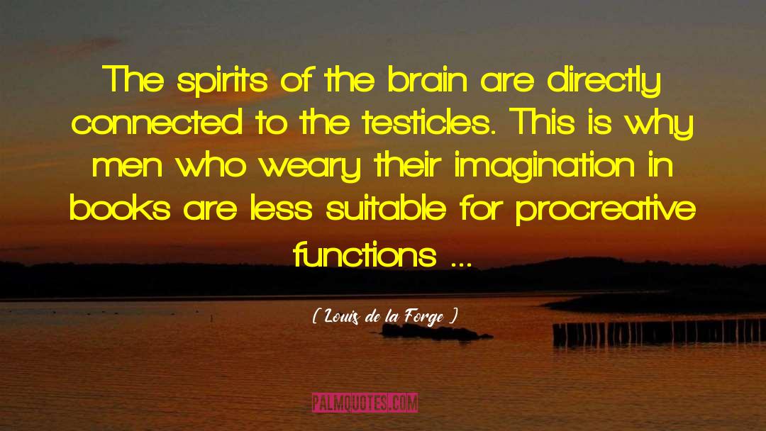 Louis De La Forge Quotes: The spirits of the brain