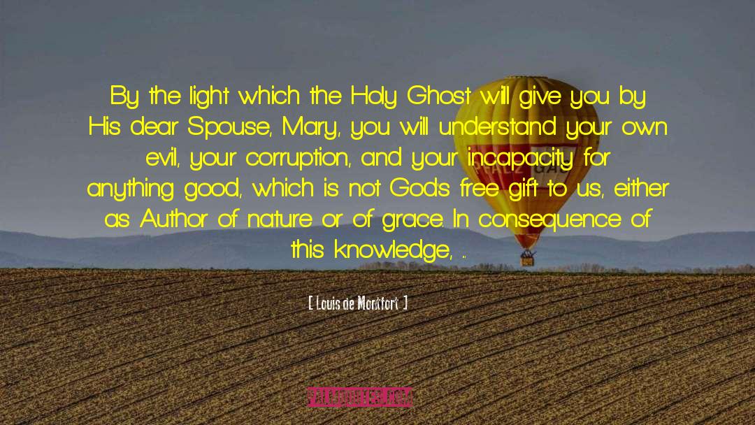 Louis De Montfort Quotes: By the light which the