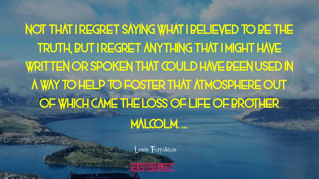 Louis Farrakhan Quotes: Not that I regret saying