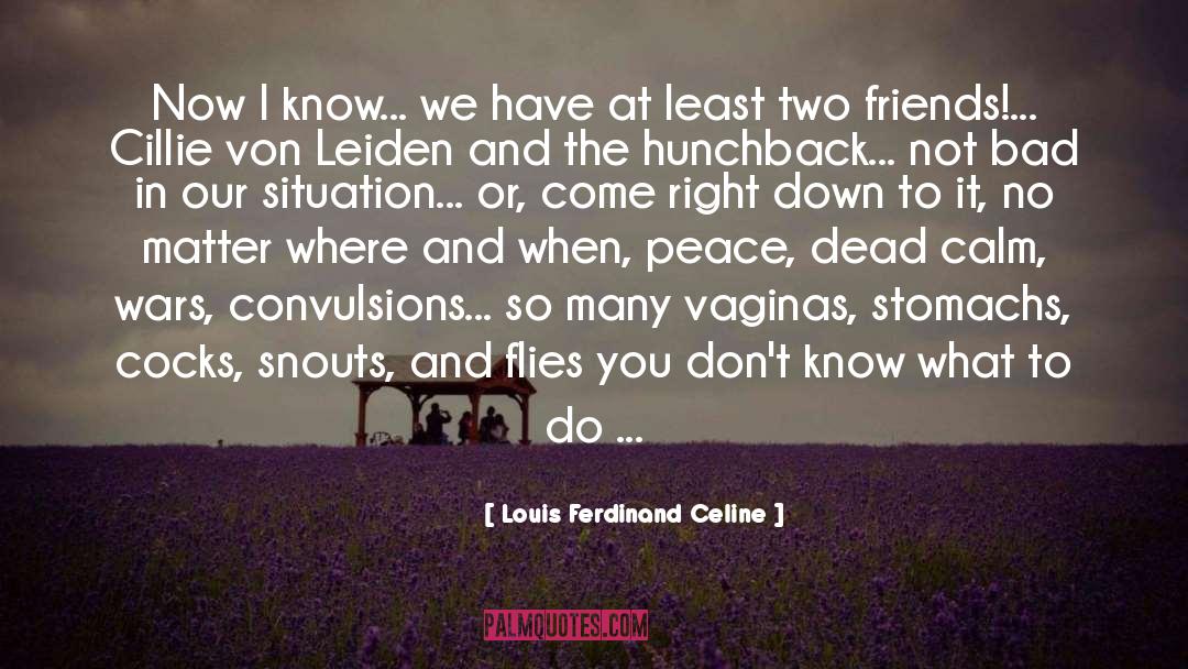 Louis Ferdinand Celine Quotes: Now I know... we have