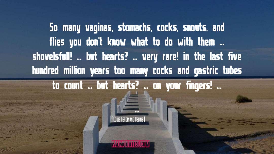 Louis Ferdinand Celine Quotes: So many vaginas, stomachs, cocks,