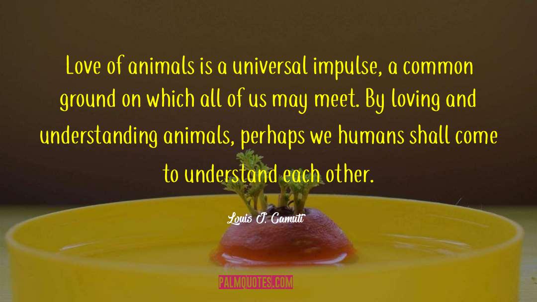 Louis J. Camuti Quotes: Love of animals is a