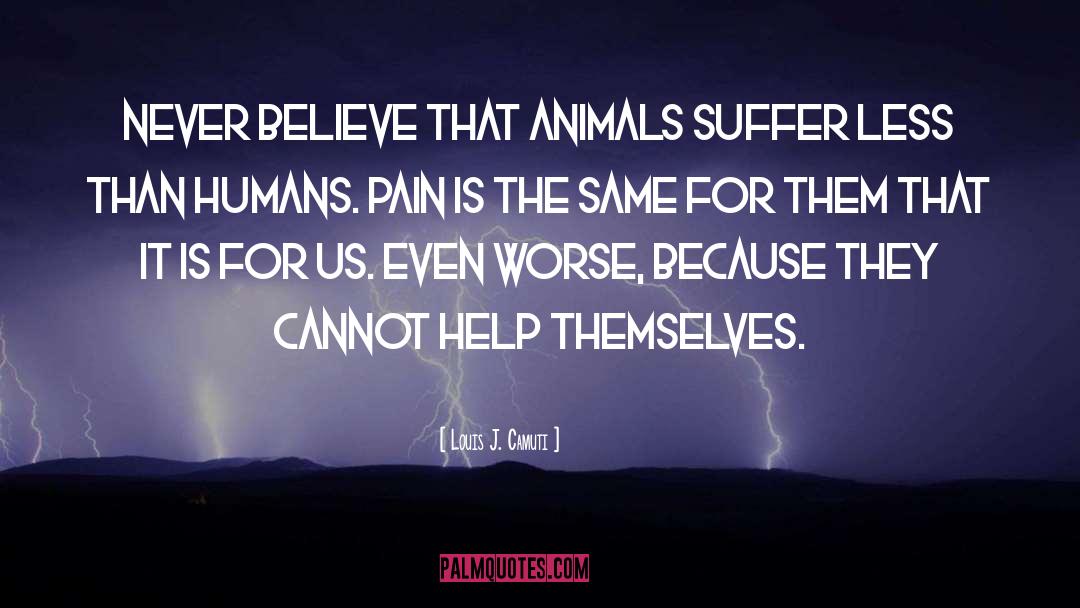 Louis J. Camuti Quotes: Never believe that animals suffer