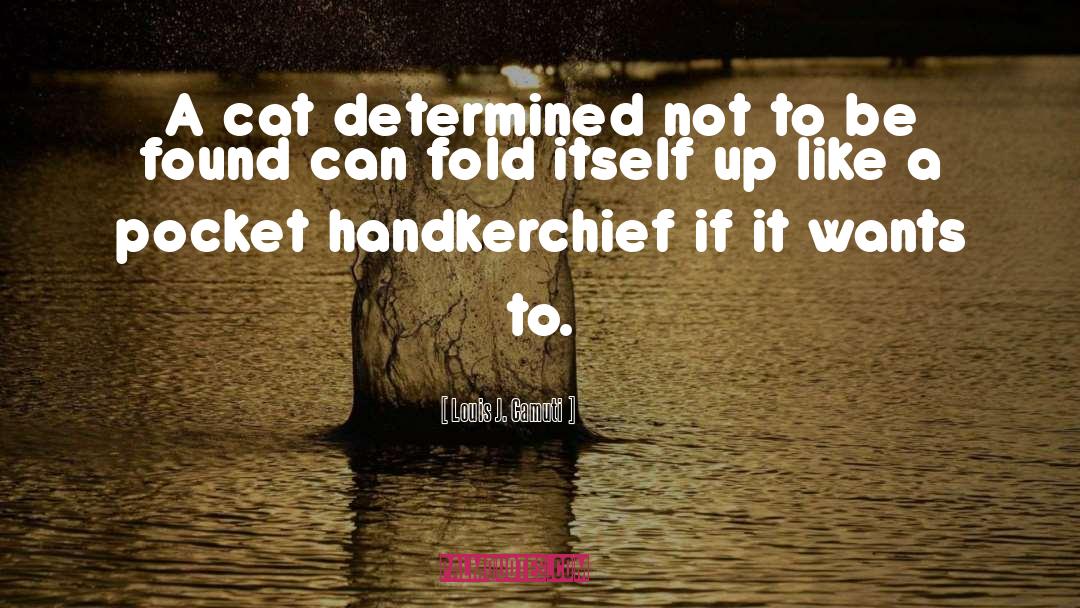 Louis J. Camuti Quotes: A cat determined not to