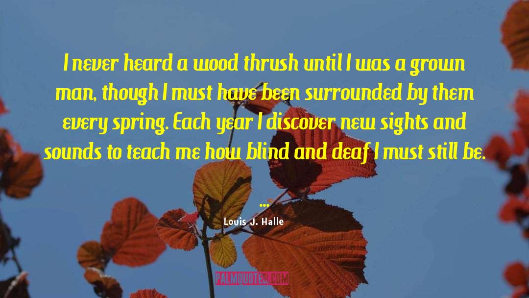 Louis J. Halle Quotes: I never heard a wood