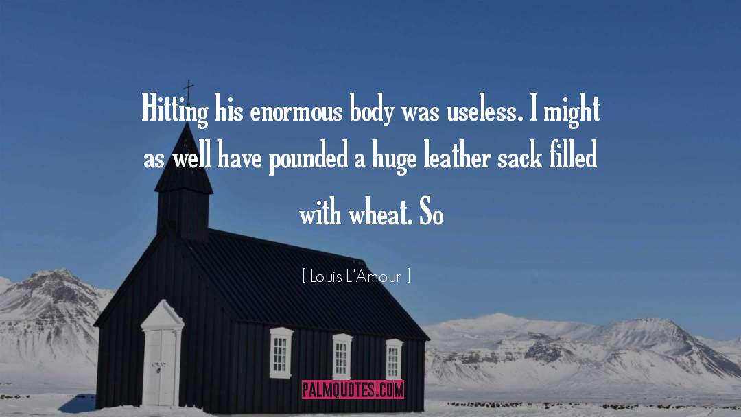 Louis L'Amour Quotes: Hitting his enormous body was