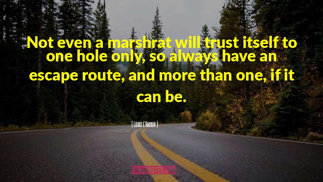 Louis L'Amour Quotes: Not even a marshrat will