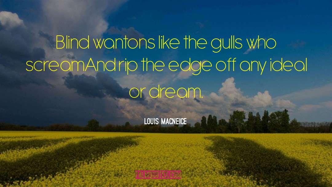 Louis MacNeice Quotes: Blind wantons like the gulls
