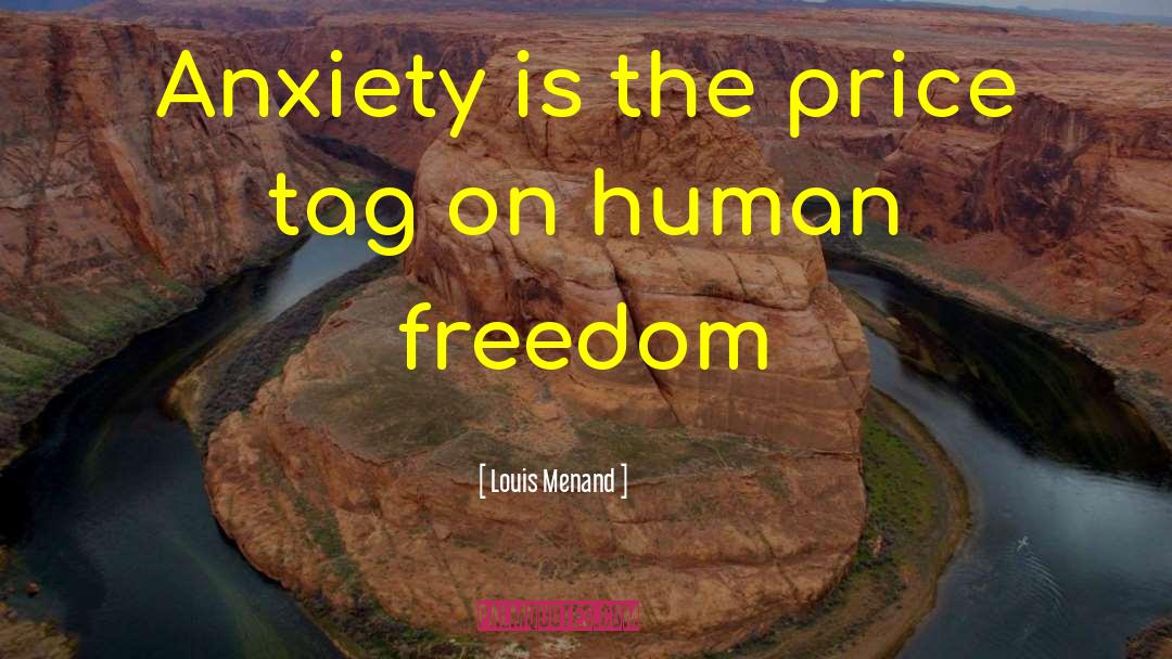 Louis Menand Quotes: Anxiety is the price tag