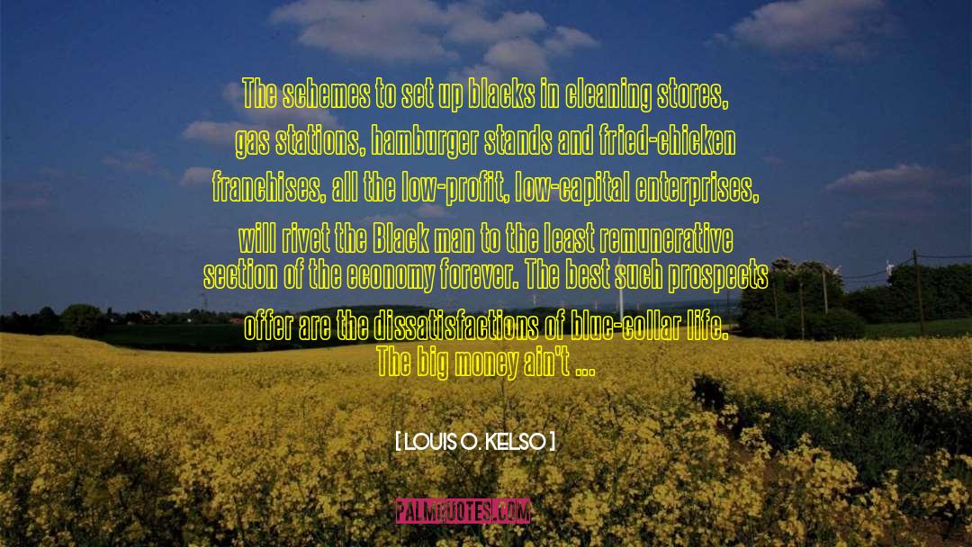 Louis O. Kelso Quotes: The schemes to set up