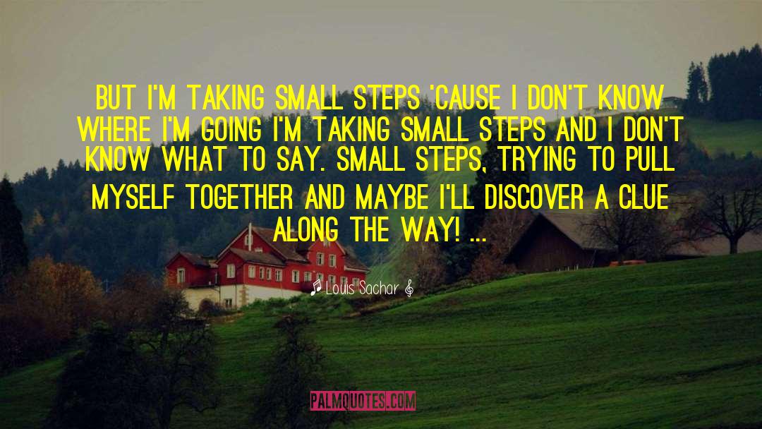 Louis Sachar Quotes: But I'm taking small steps