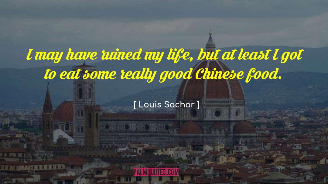Louis Sachar Quotes: I may have ruined my
