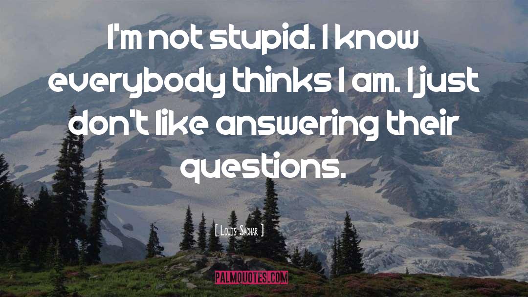 Louis Sachar Quotes: I'm not stupid. I know