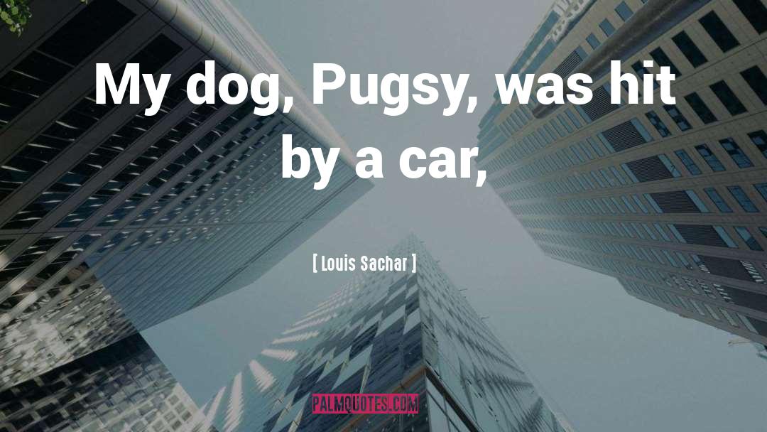 Louis Sachar Quotes: My dog, Pugsy, was hit