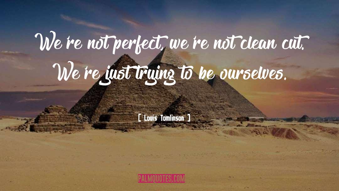 Louis Tomlinson Quotes: We're not perfect, we're not