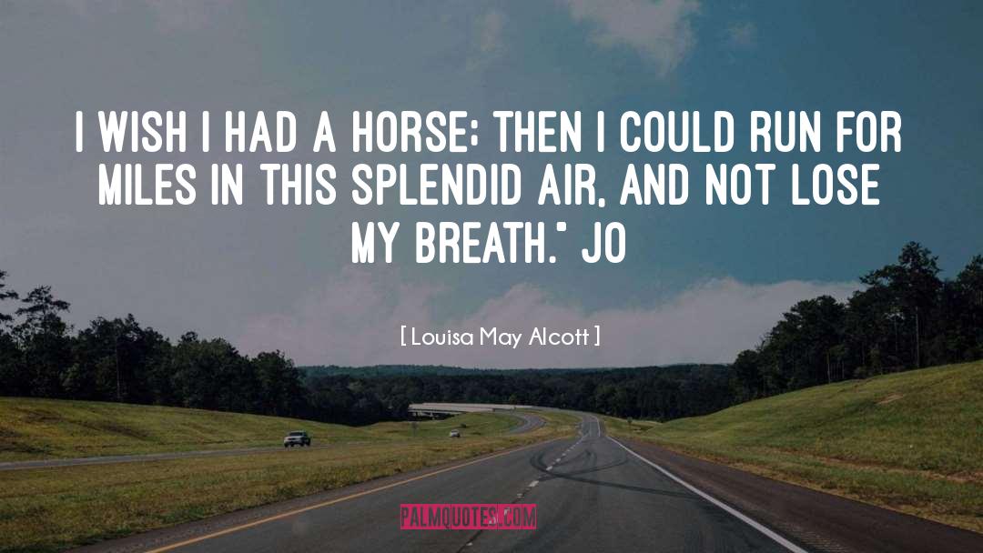 Louisa May Alcott Quotes: I wish I had a