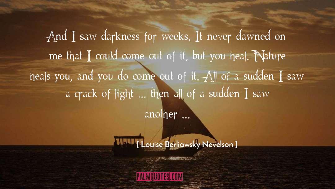 Louise Berliawsky Nevelson Quotes: And I saw darkness for