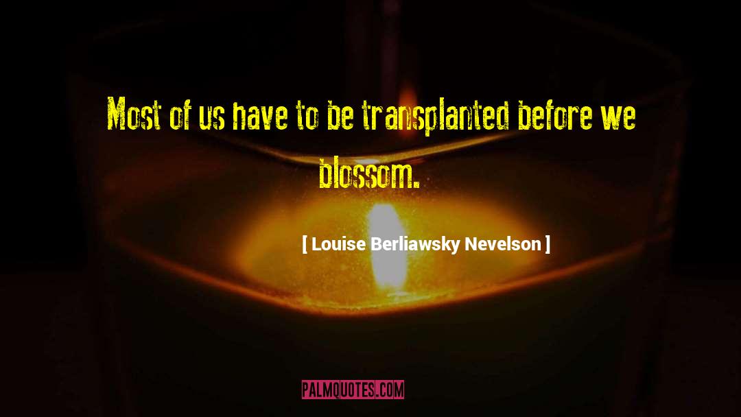 Louise Berliawsky Nevelson Quotes: Most of us have to